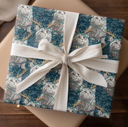 Feline Festivity Amongst Twinkling Lights