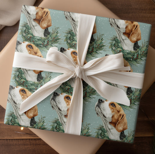 Winter's Gentle Companion Rests