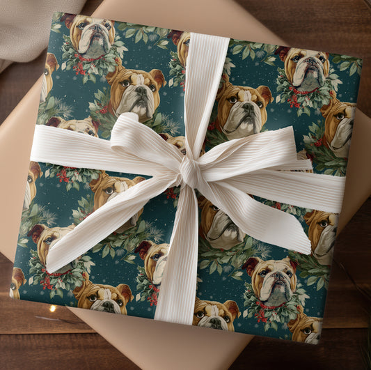 Bulldog Blooms In Winter's Embrace