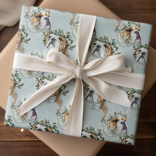 Winter's Gentle Bulldog Ballet