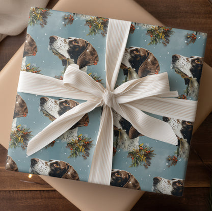 Winter's Quiet Companions